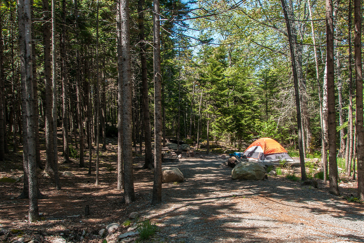 Acadia National Park Camping 3
