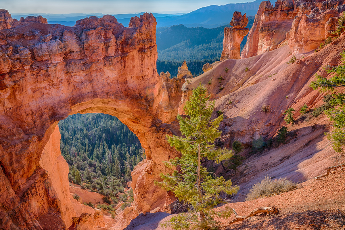 Bryce Canyon National Park 9
