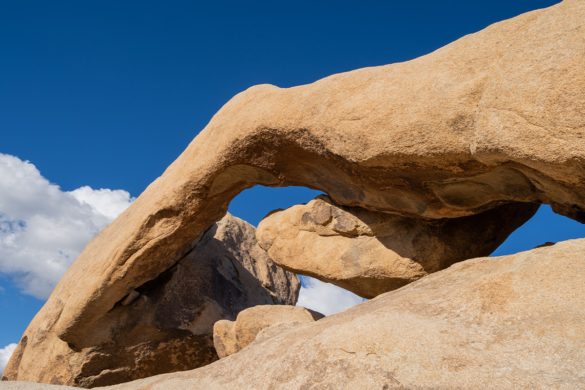 Best Things to Do in Joshua Tree National Park 11