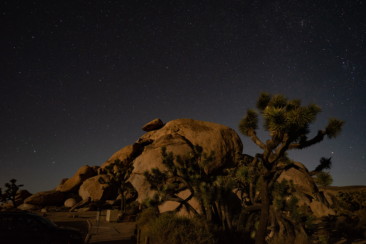 Best Things to Do in Joshua Tree National Park 14