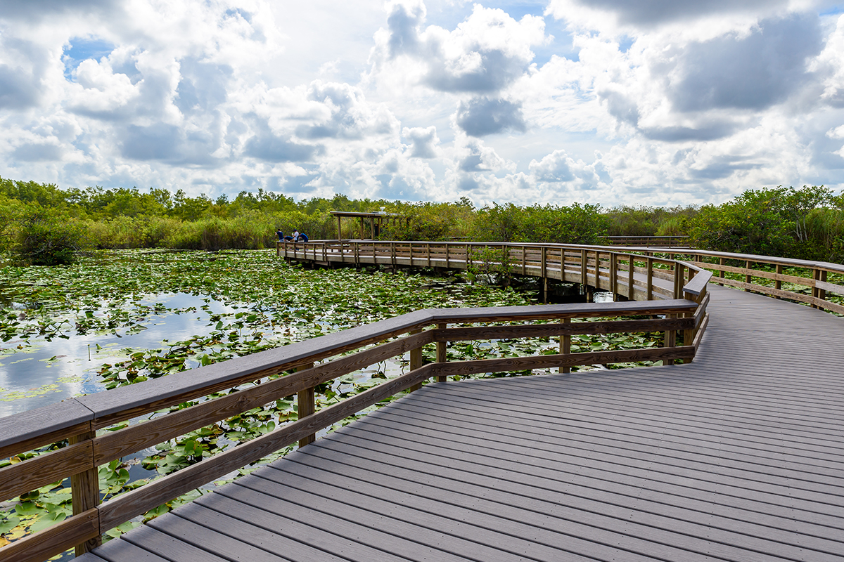 Things to Do in Everglades National Park 1
