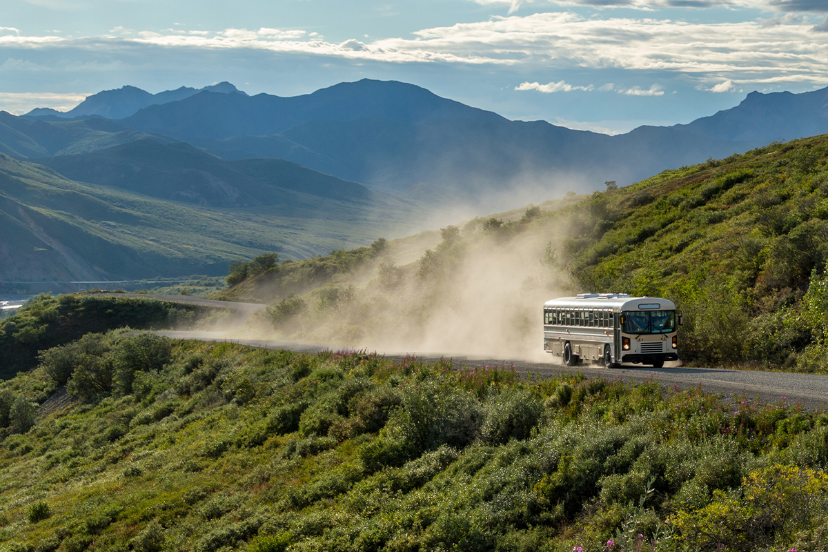 Things to Do in Denali National Park 5