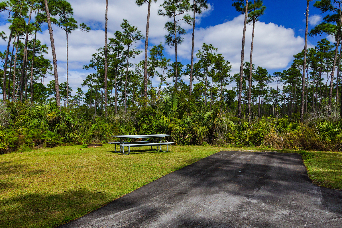 Things to Do in Everglades National Park3
