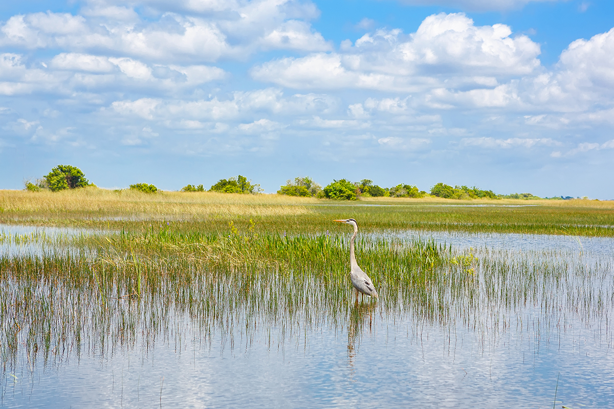 Things to Do in Everglades National Park 5