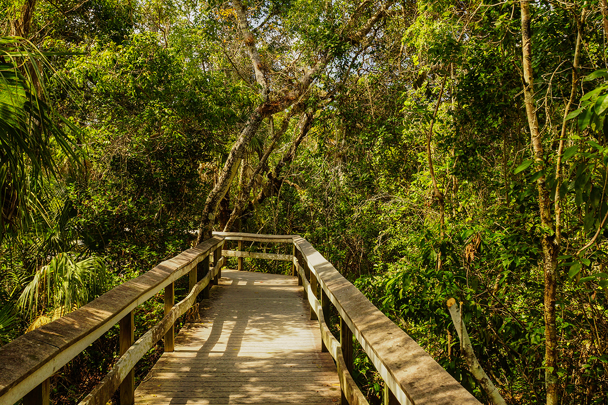 Things to Do in Everglades National Park 6