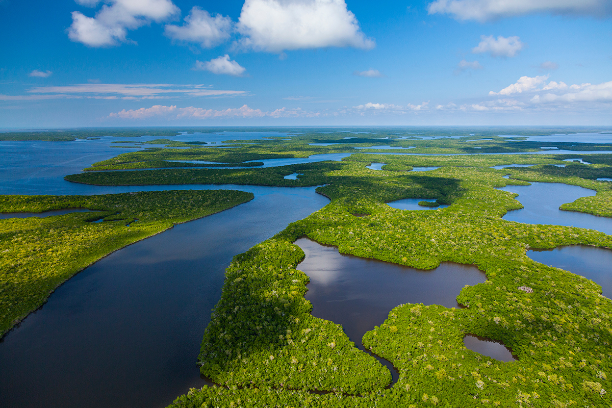 Things to Do in Everglades National Park 8
