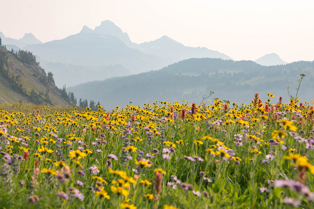 Best Hikes in Grand Teton National Park 10