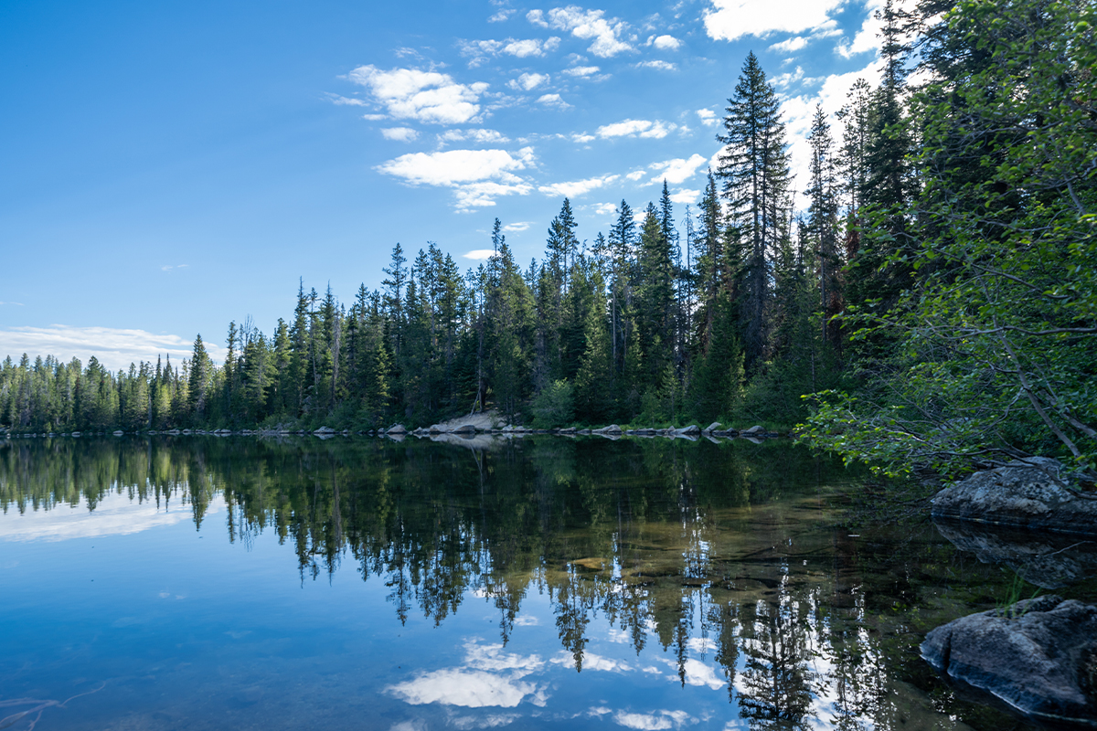 Best Hikes in Grand Teton National Park 3