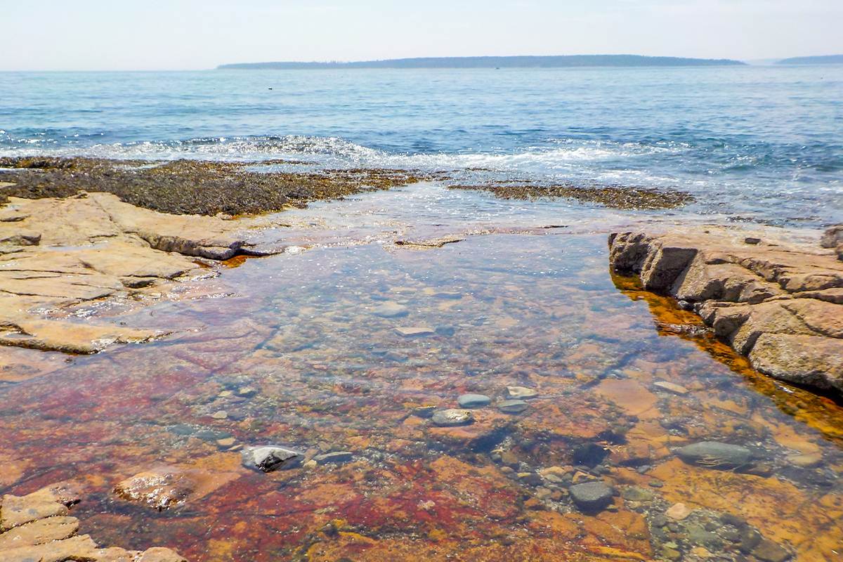 Best Hikes in Acadia National Park 8