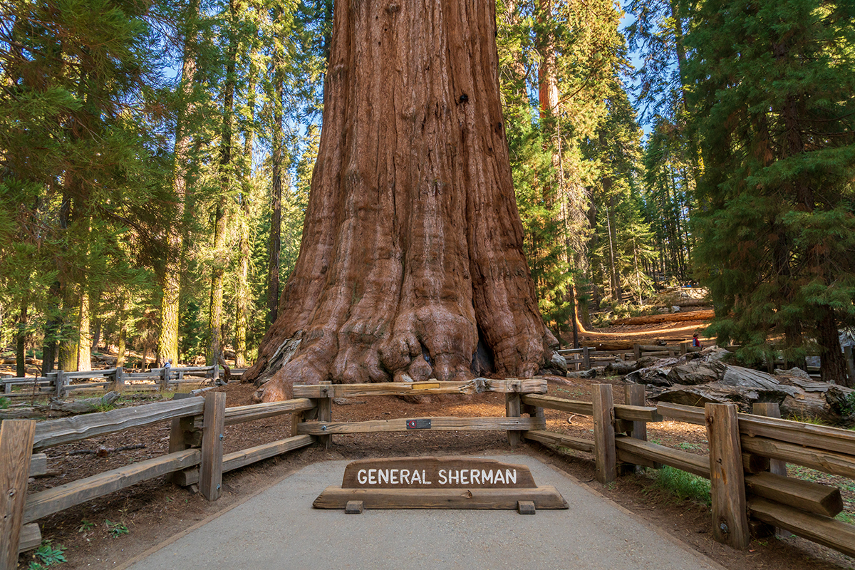 Best Hikes in Sequoia National Park 1