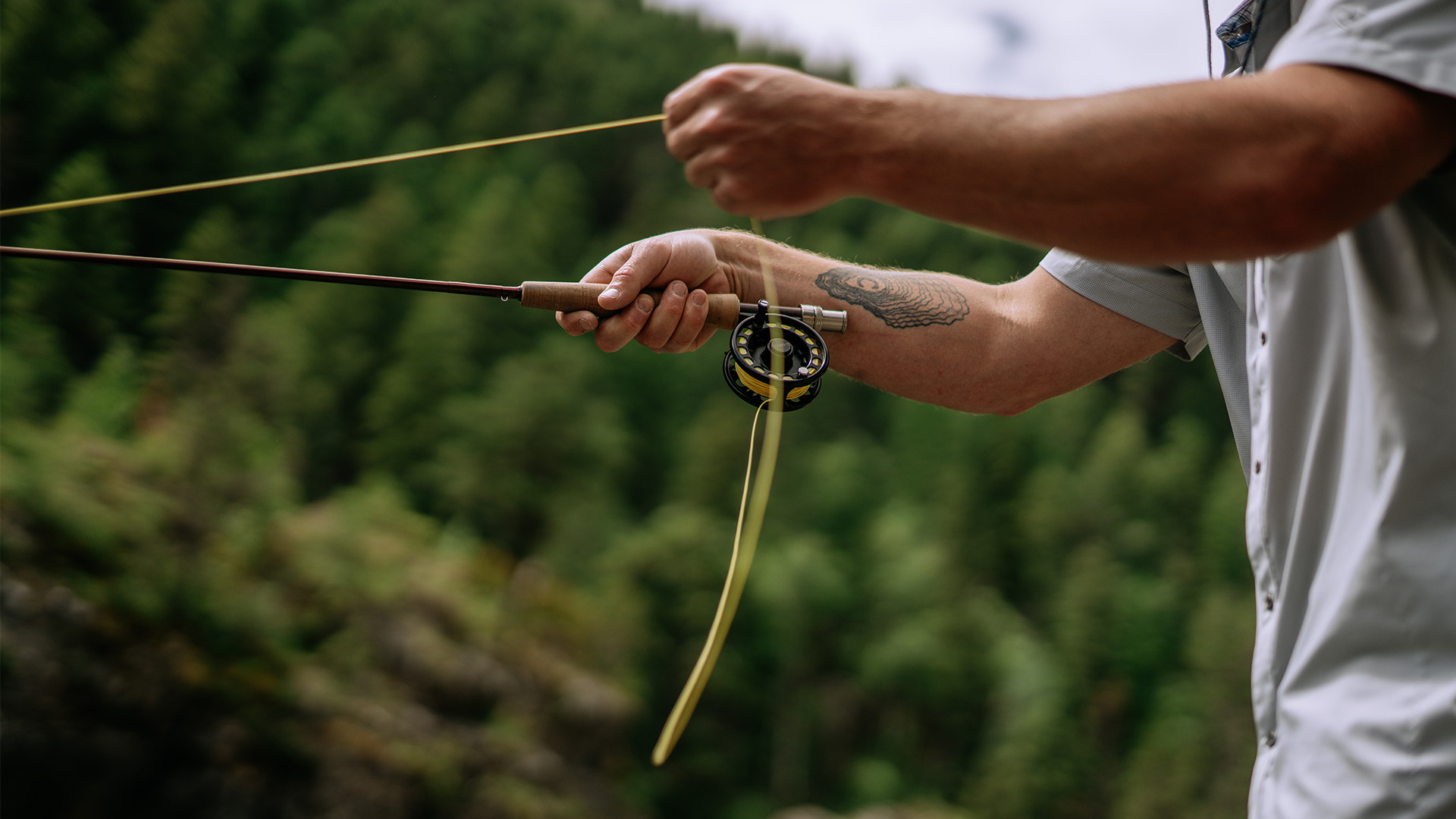 Fly fishing basics, the backing, line, leader and tippet.