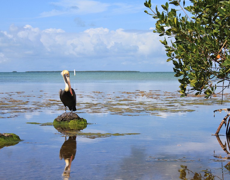 Things to Do in Everglades National Park fi