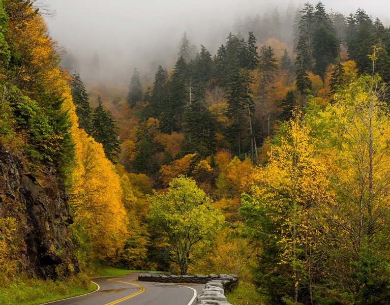 Things to Do in Great Smoky Mountains National Park FI