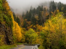 Things to Do in Great Smoky Mountains National Park FI