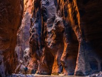 Zion National Park fi