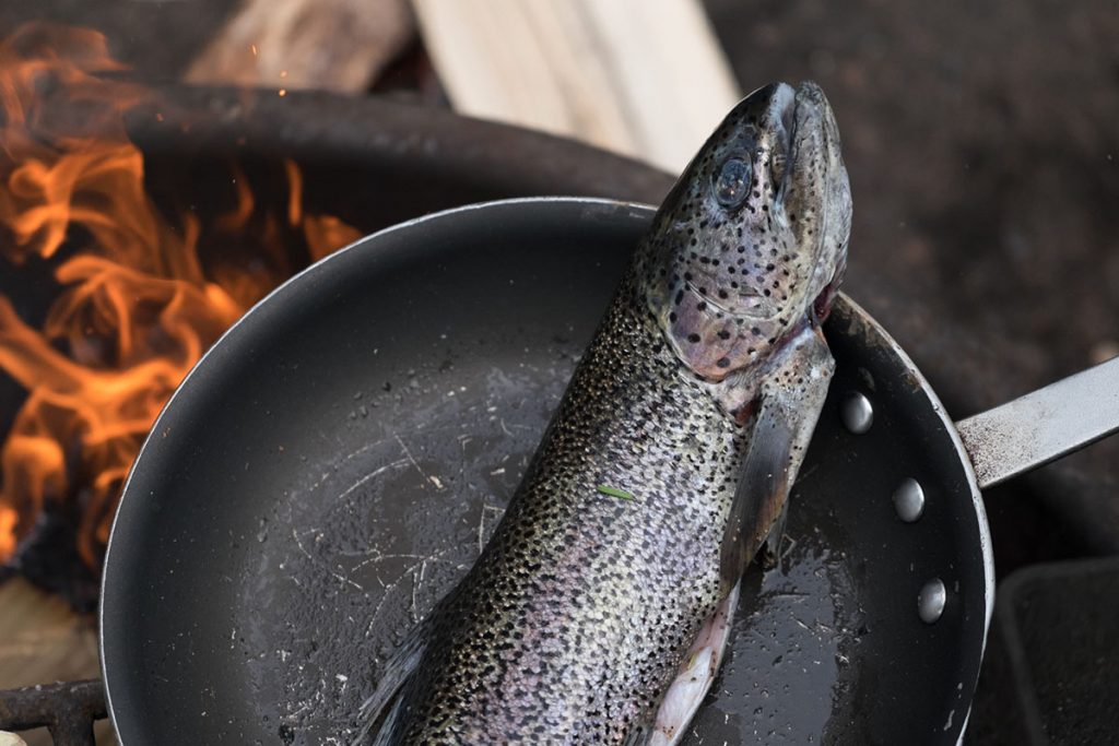 https://www.kuhl.com/borninthemountains/sites/default/files/wp-content/uploads/2021/04/Cooking-Fish-Over-Campfire-1-1024x683.jpg