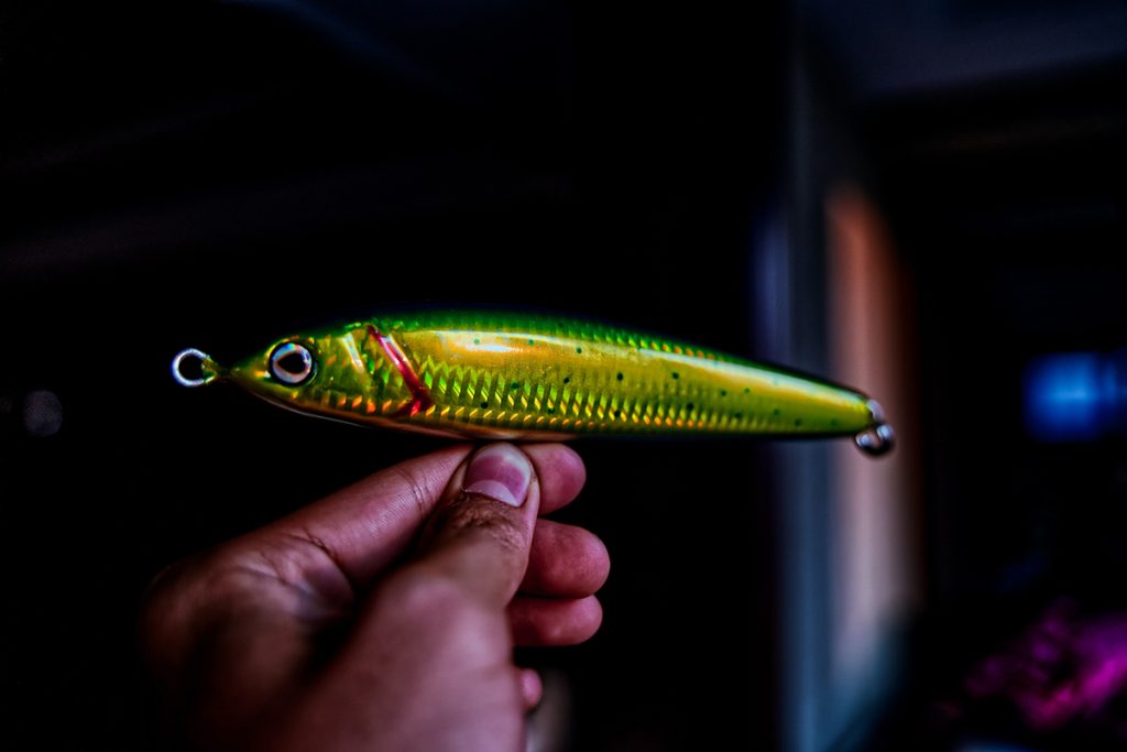 man holding green soft plastic fishing lure