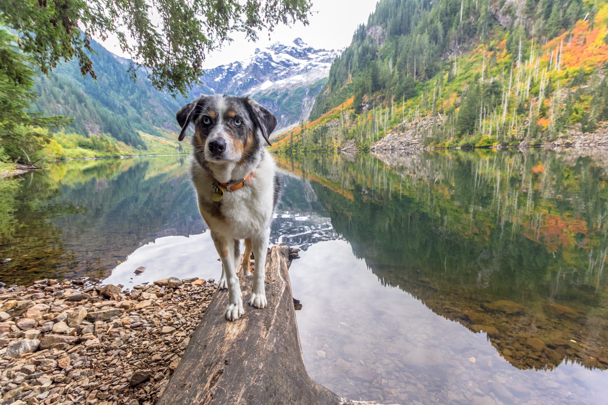 9 Overnight Backpacking Trips in Washington’s Cascade Mountains